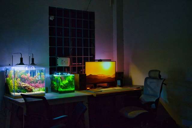 akvarijum sa ribicama na stolu pored računara i monitora